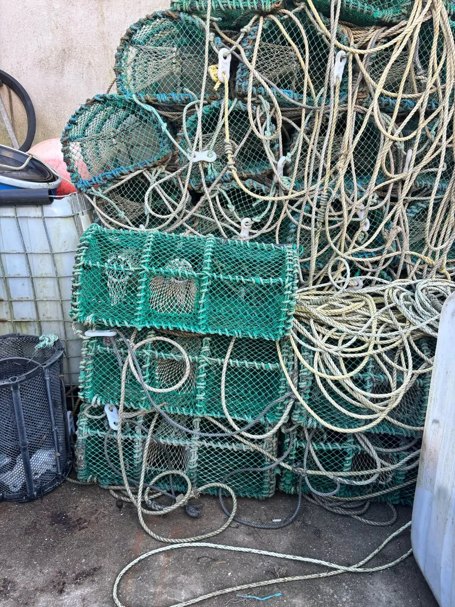 Green crab pots - Image 2