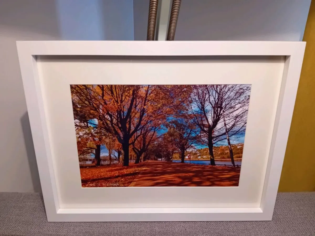 The Marina, Cork - Image 3