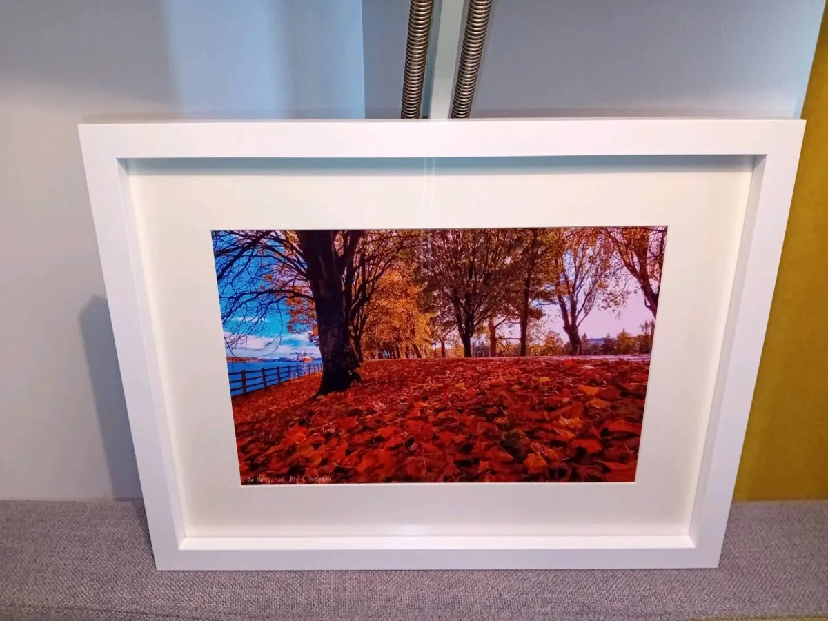 The Marina, Cork - Image 1