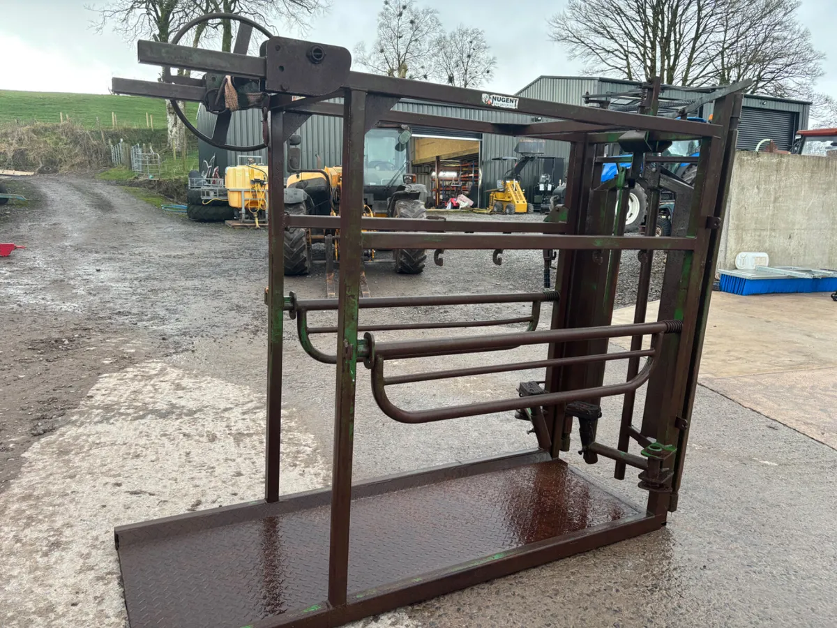 Nugent hoof trimming crush - Image 1