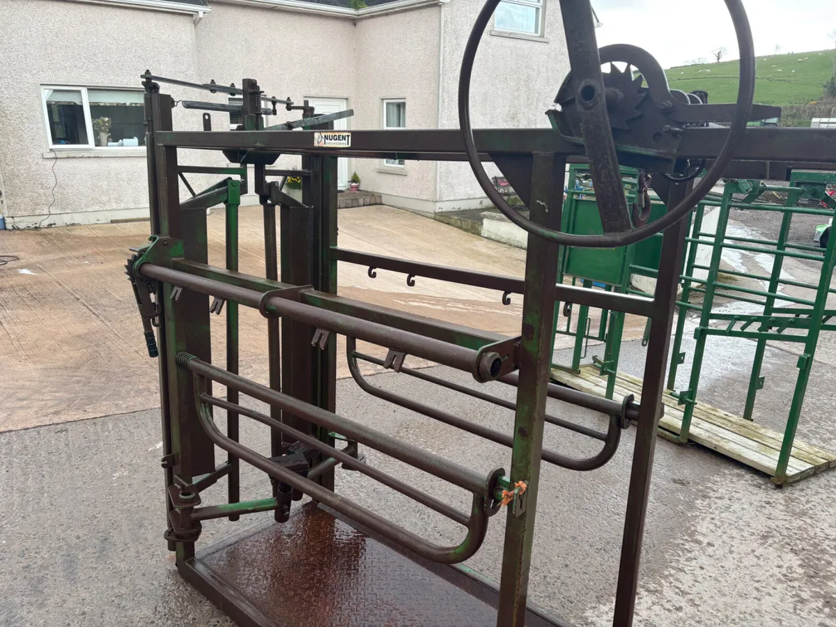 Nugent hoof trimming crush - Image 4