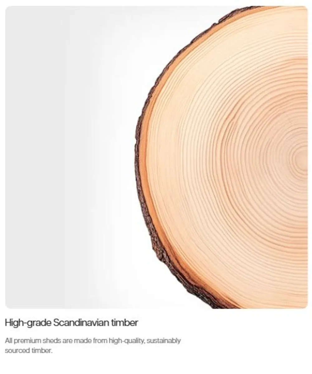 🌟 8x6 Premium Timber Apex Garden Sheds Delivered - Image 3