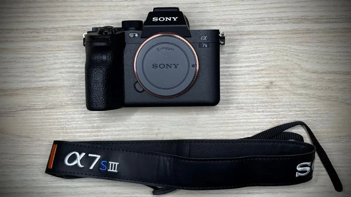 Sony A7S III - Near New - Low Use - 954 Shutter Count - Image 2