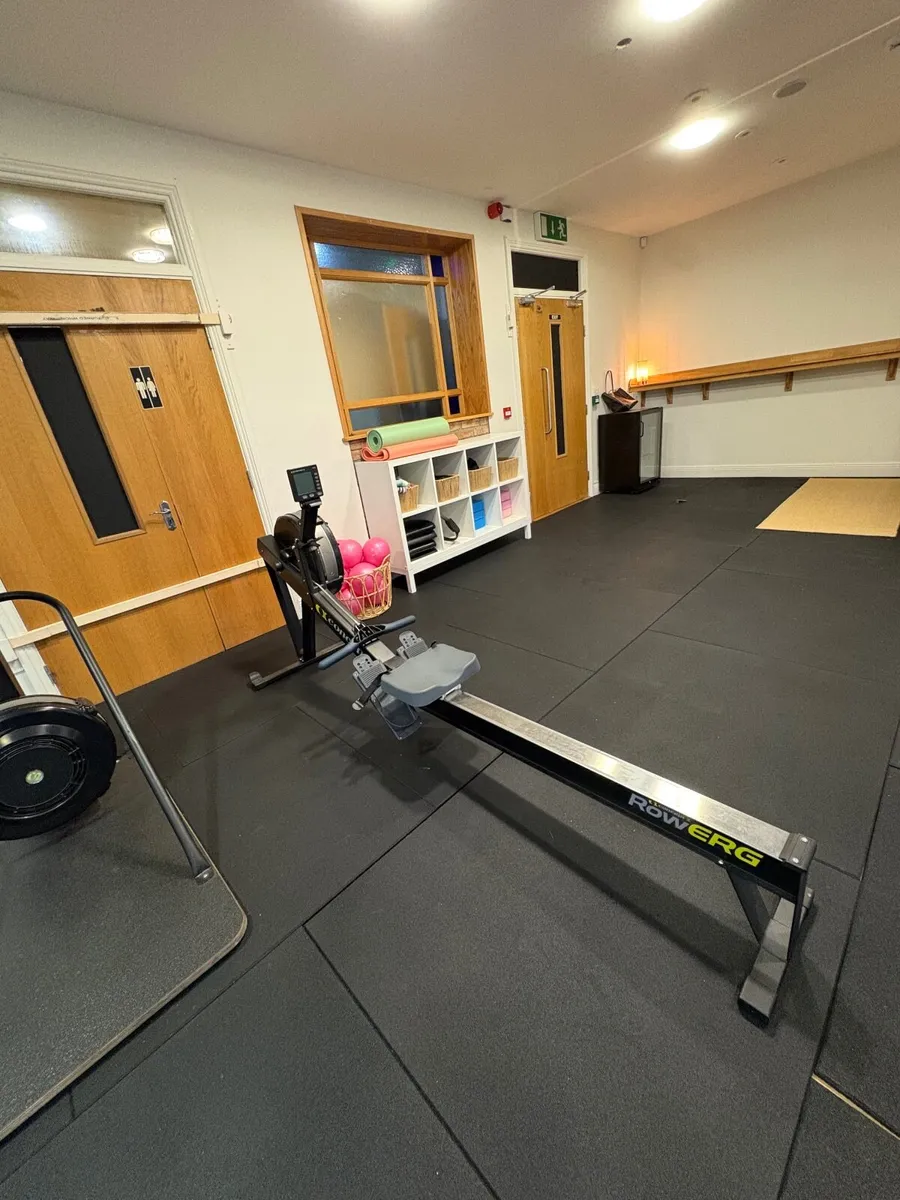 Concept 2 rower / ski / bike - Image 2