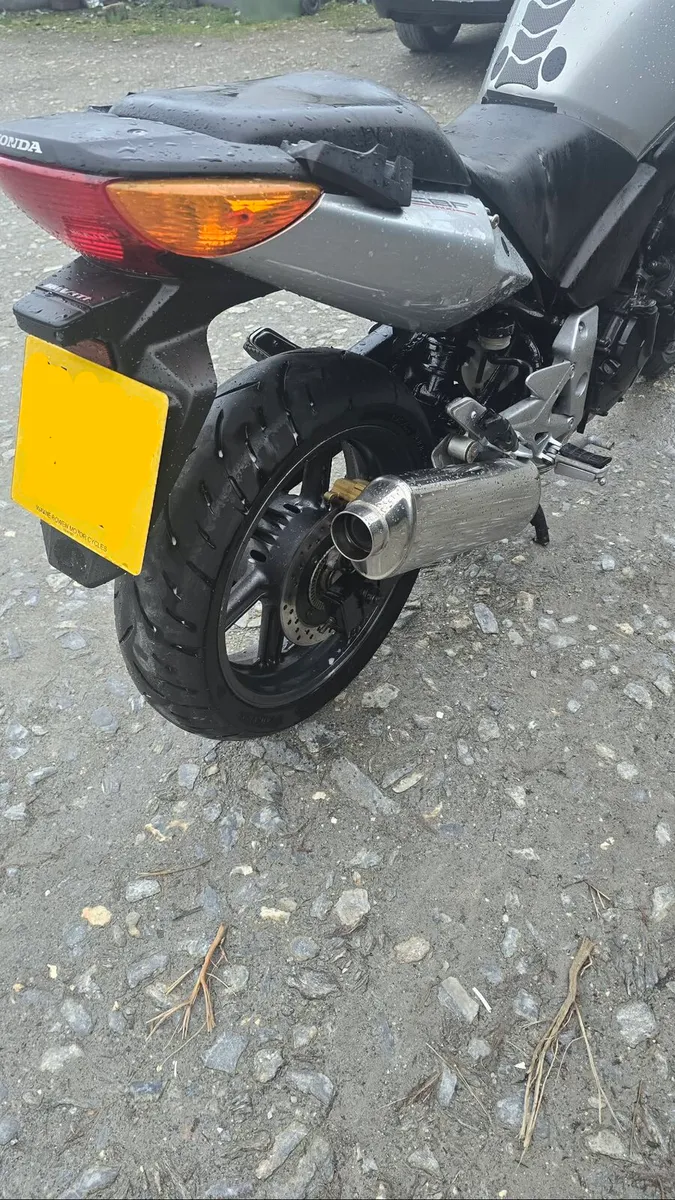 2006 Honda CBF600 ABS - Image 3