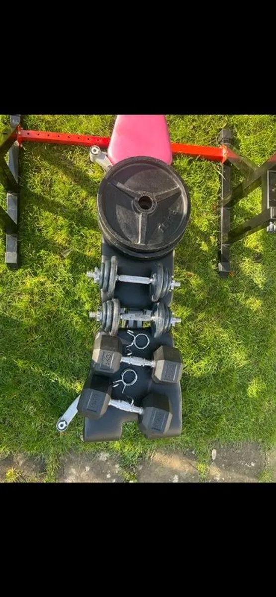 Bench Press - Image 3