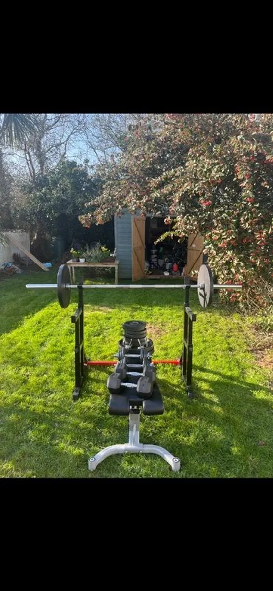 Bench Press - Image 1