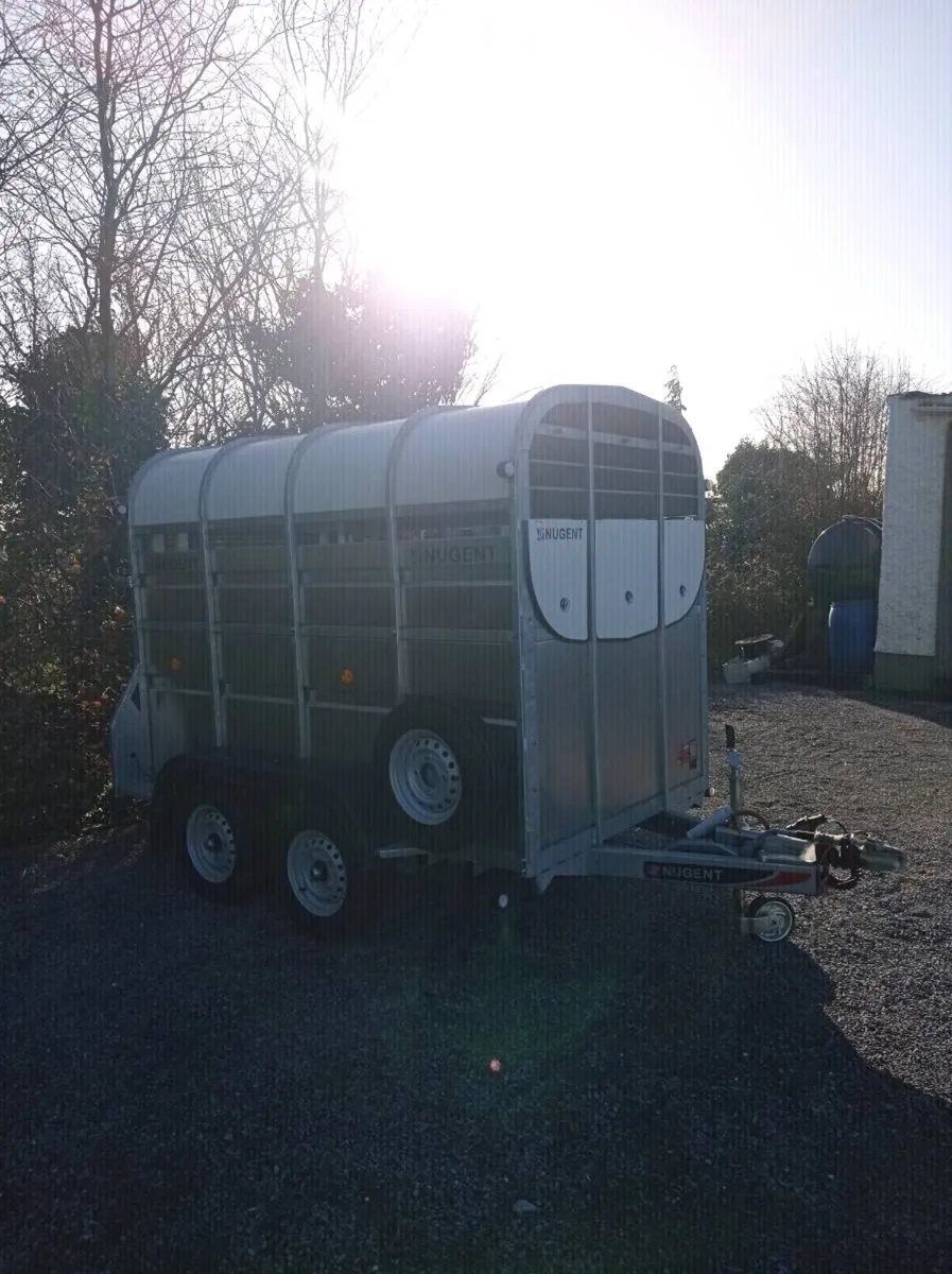 New 8x5 Nugent trailer - Image 3