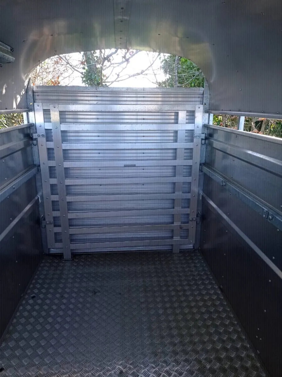 New 8x5 Nugent trailer - Image 4