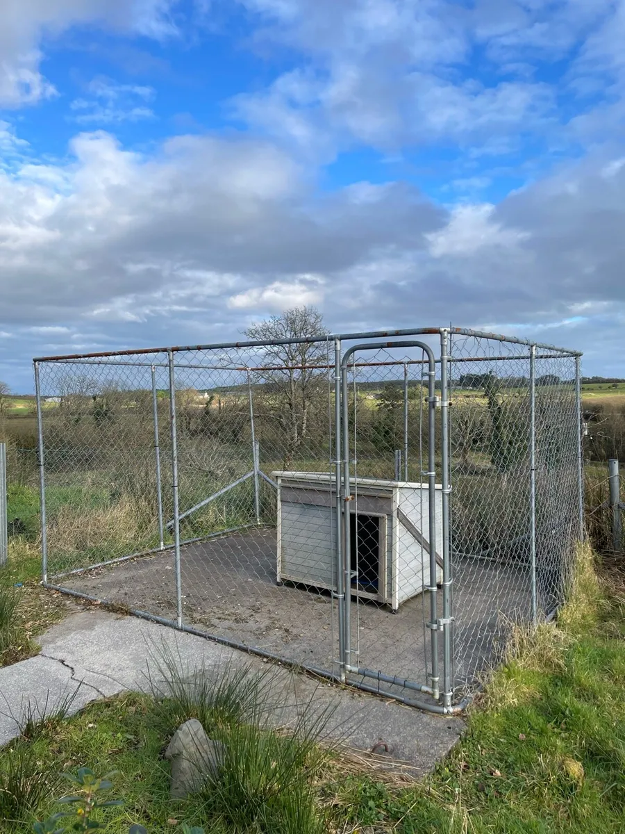 Dog Run - Image 2
