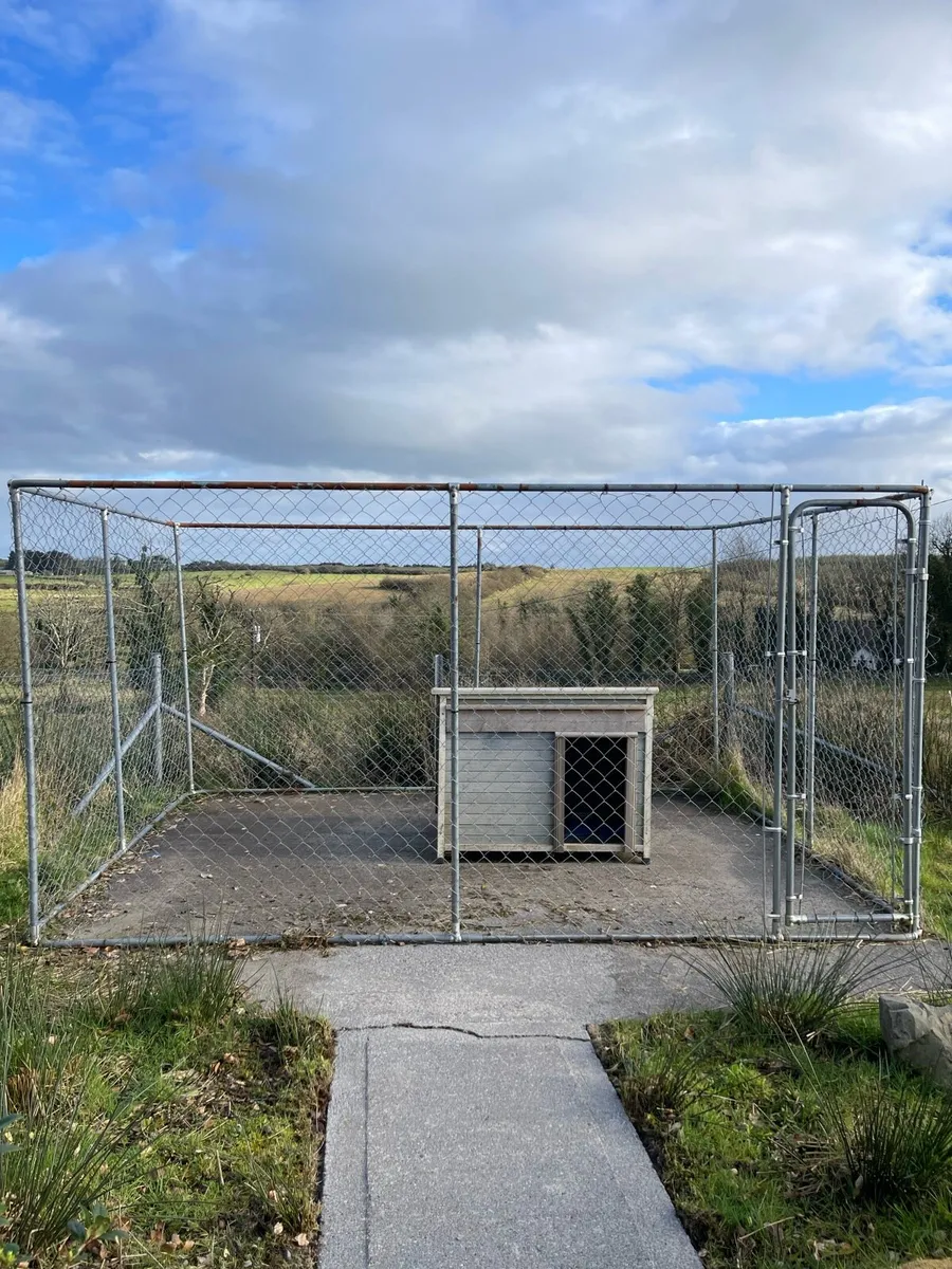 Dog Run - Image 1