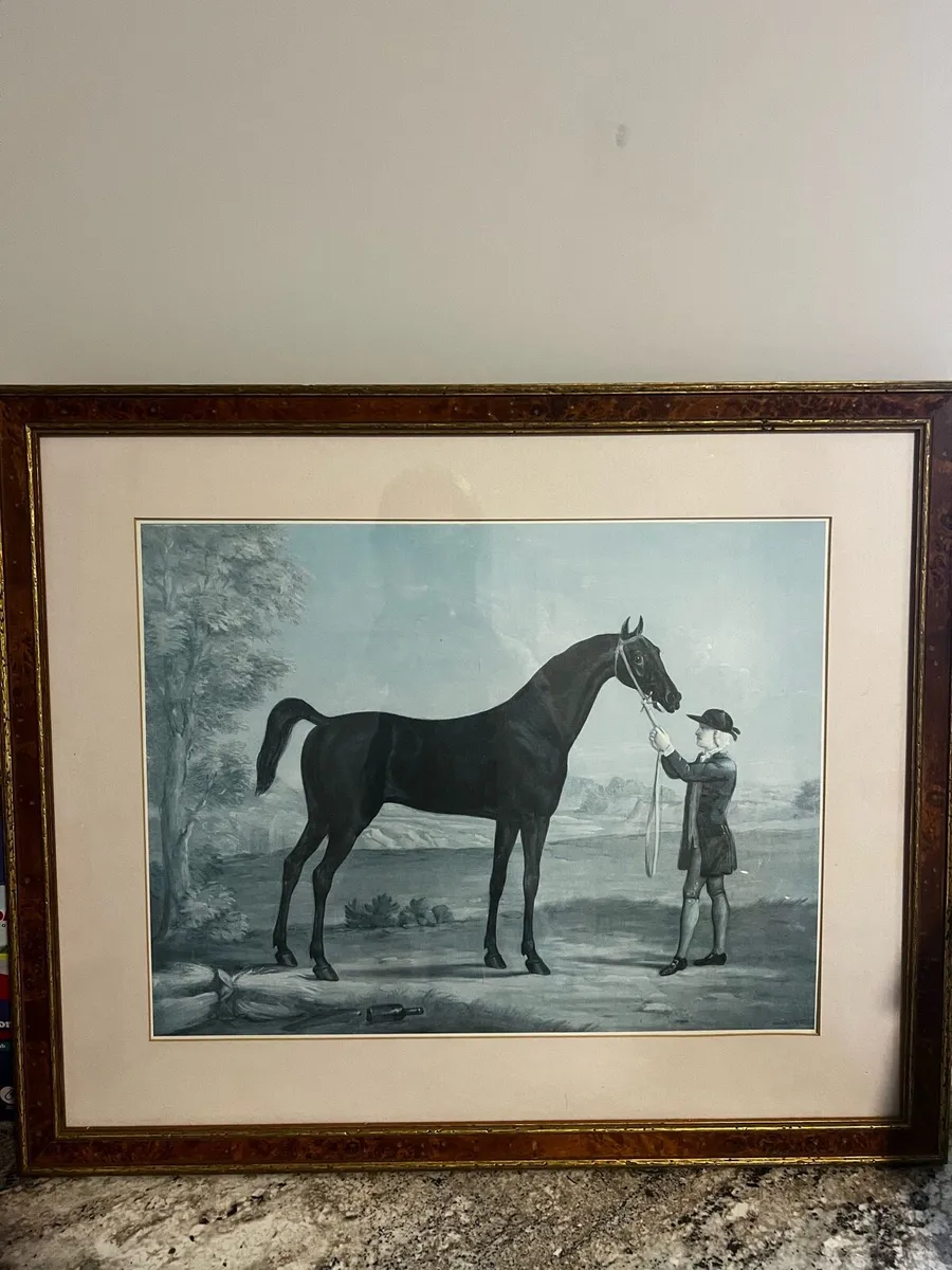 Framed Horse Print / Equestrian Wall Art