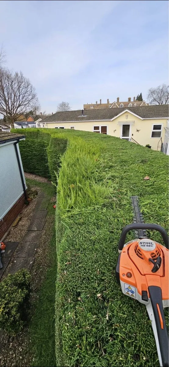 Landscaping - Image 2