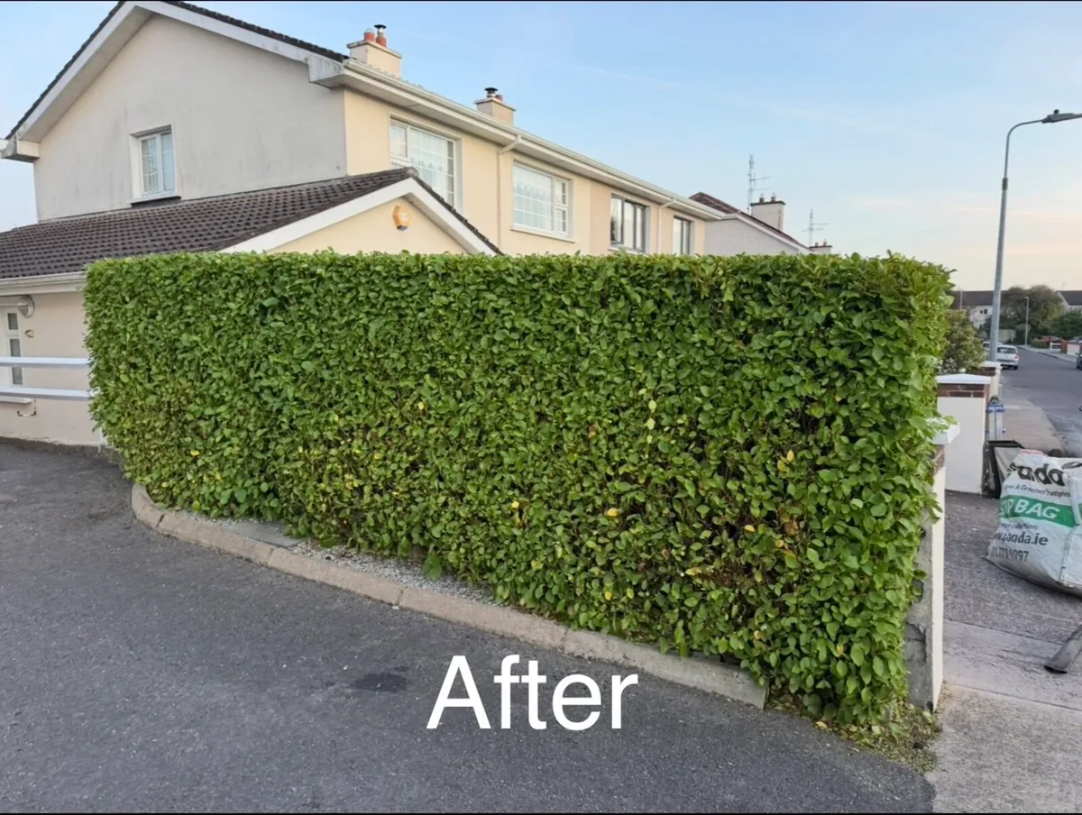 Landscaping - Image 3