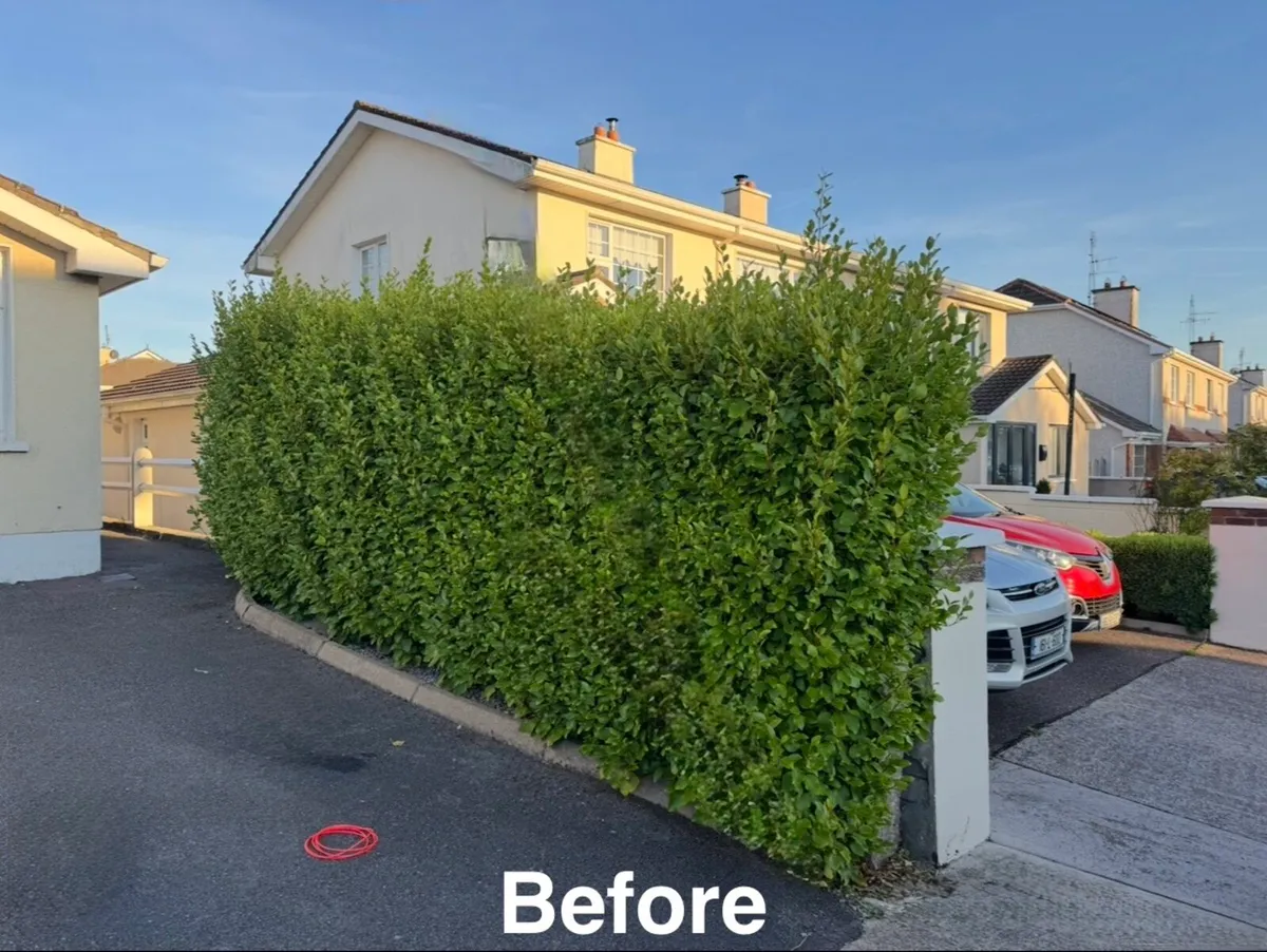 Landscaping - Image 4