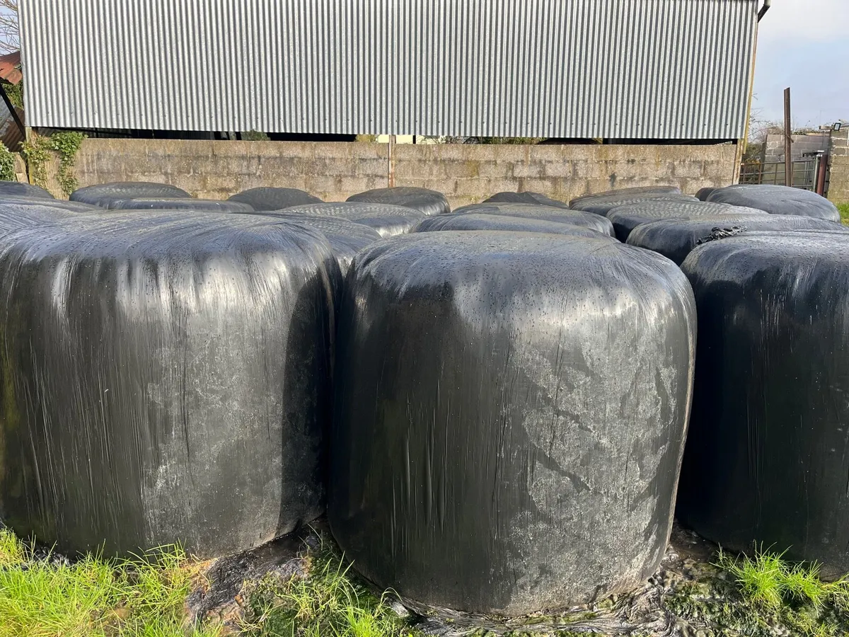 Round bales silage and hay - Image 1
