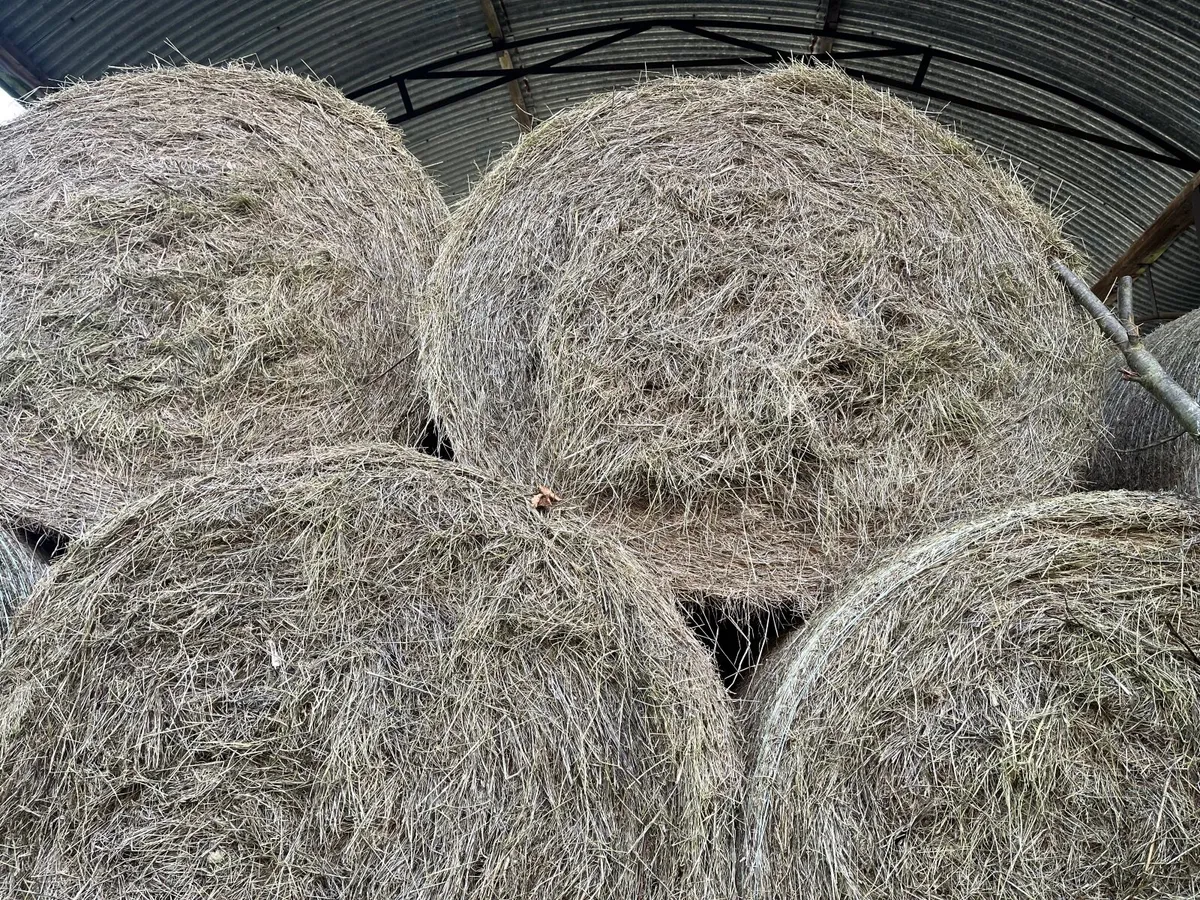 Round bales silage and hay - Image 2