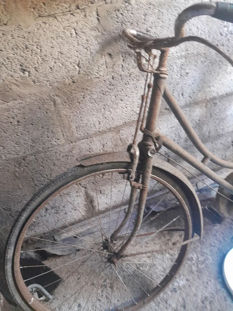Vintage  cycle - Image 3