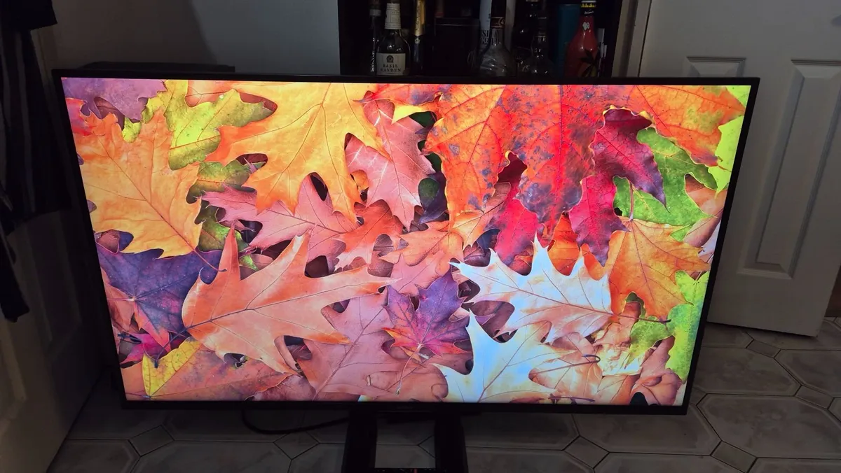Sony 49" 4K HDR Android Smart TV - Image 3