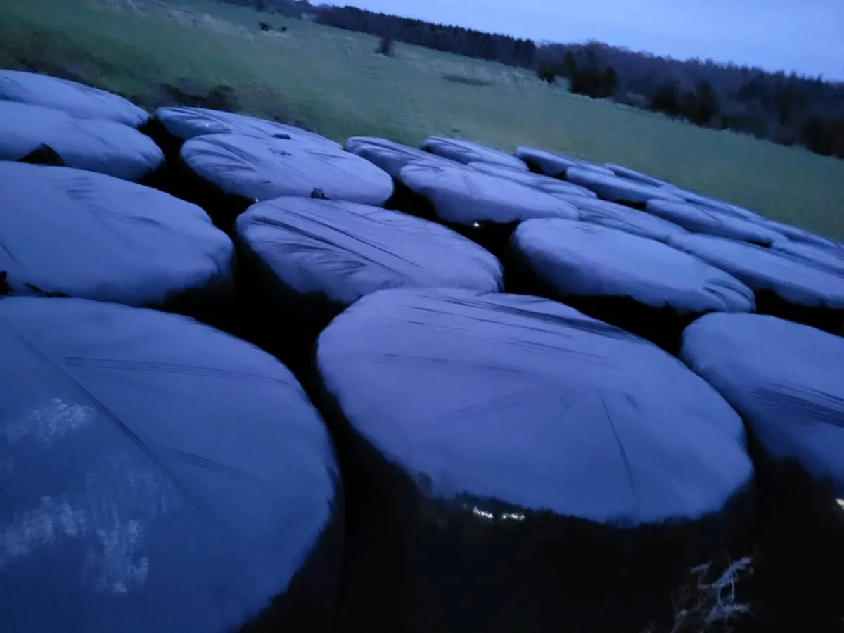 Silage - Image 1