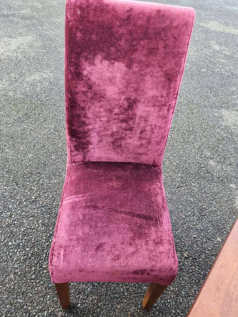 Lovely teak table and chairs - Image 4