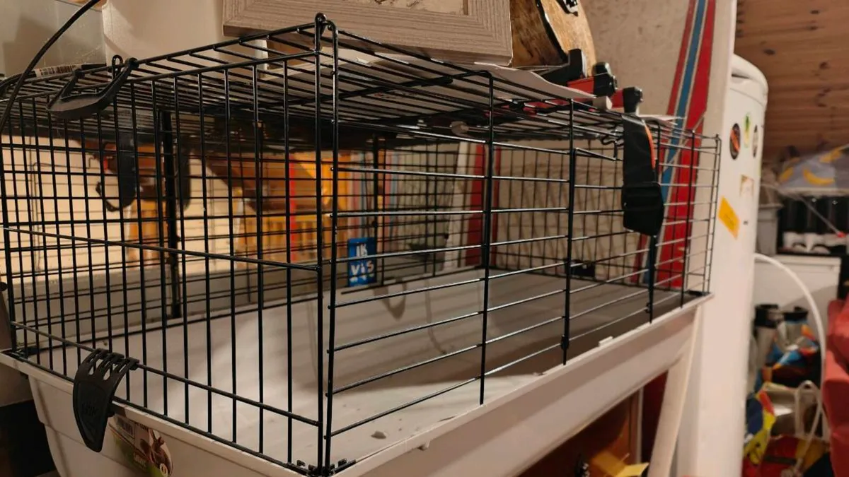 Guinea pig cage