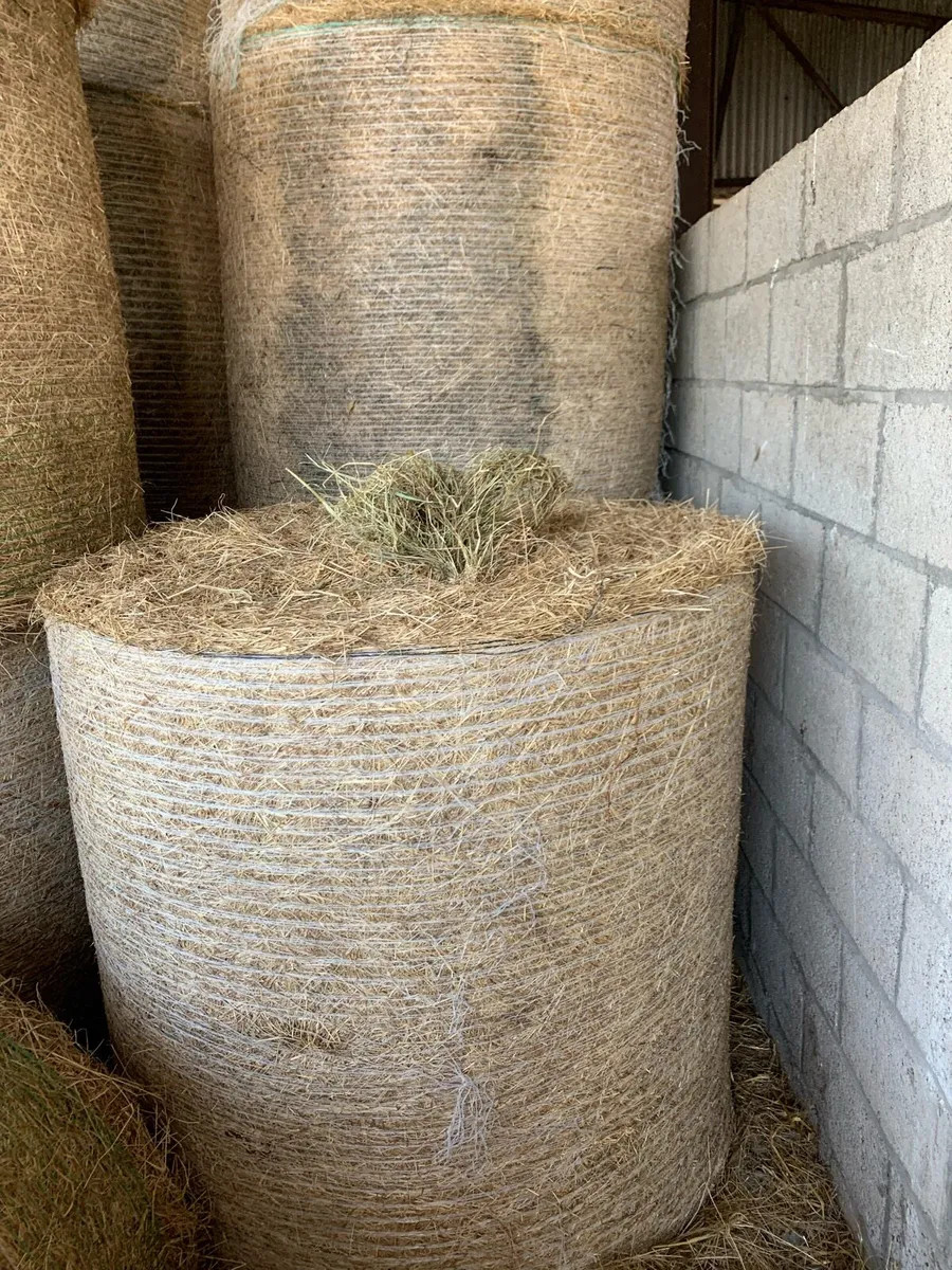 Silage/hay/haylage - Image 1