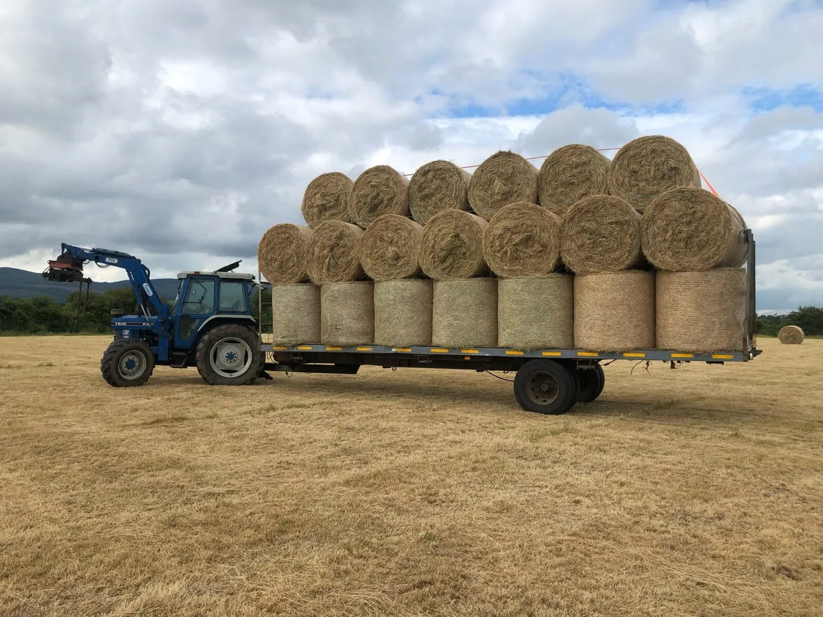 Silage/hay/haylage - Image 2