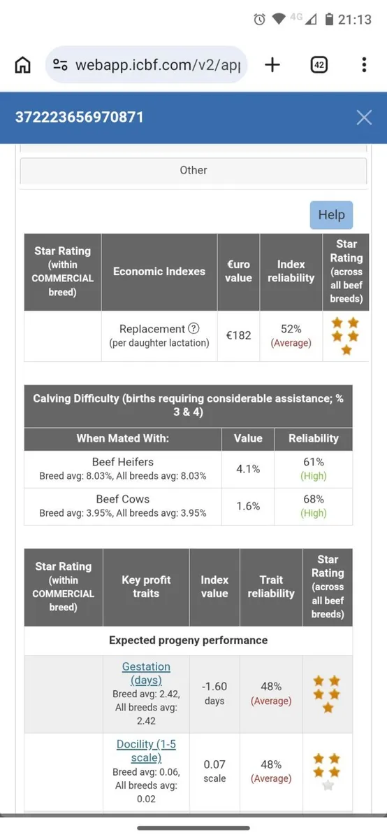 Super 5 ⭐Angus Heifer - Image 4