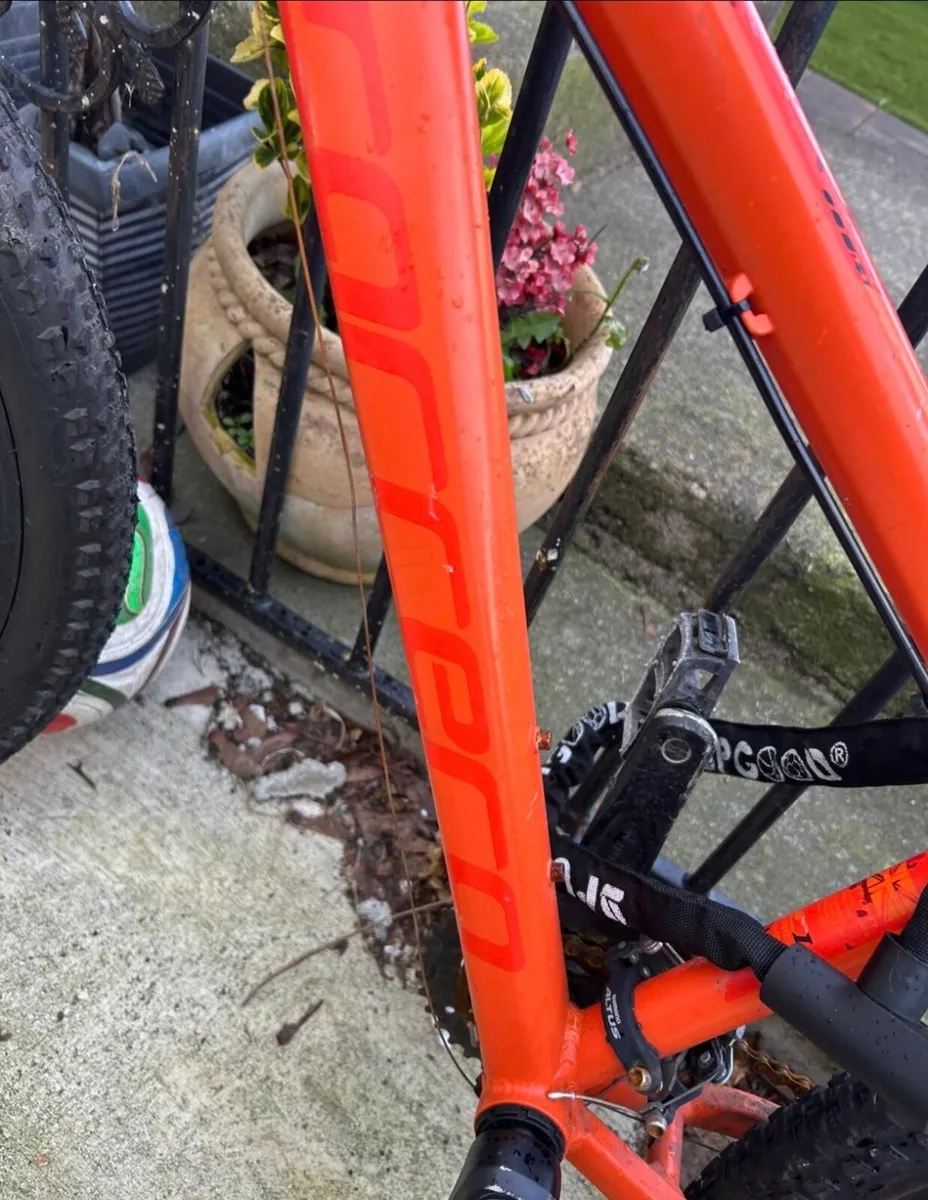 Carrea Kids Bike - Image 2