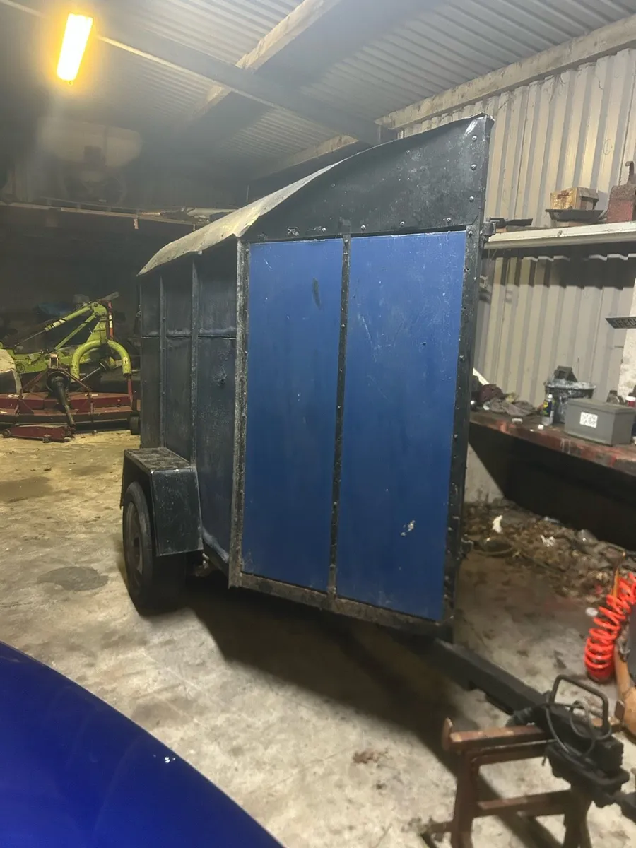 Single cow box - Image 1