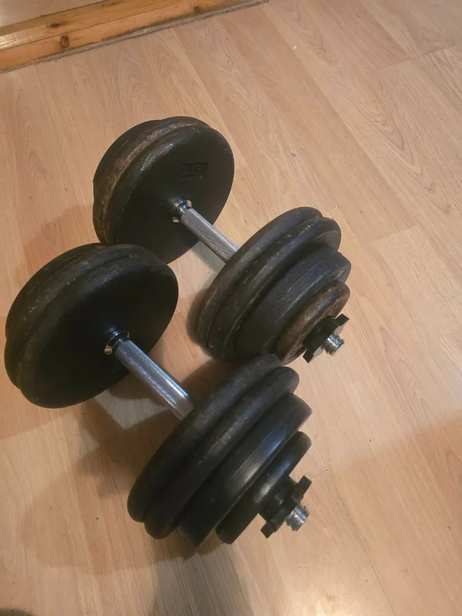 Dumbbells 2×26kg