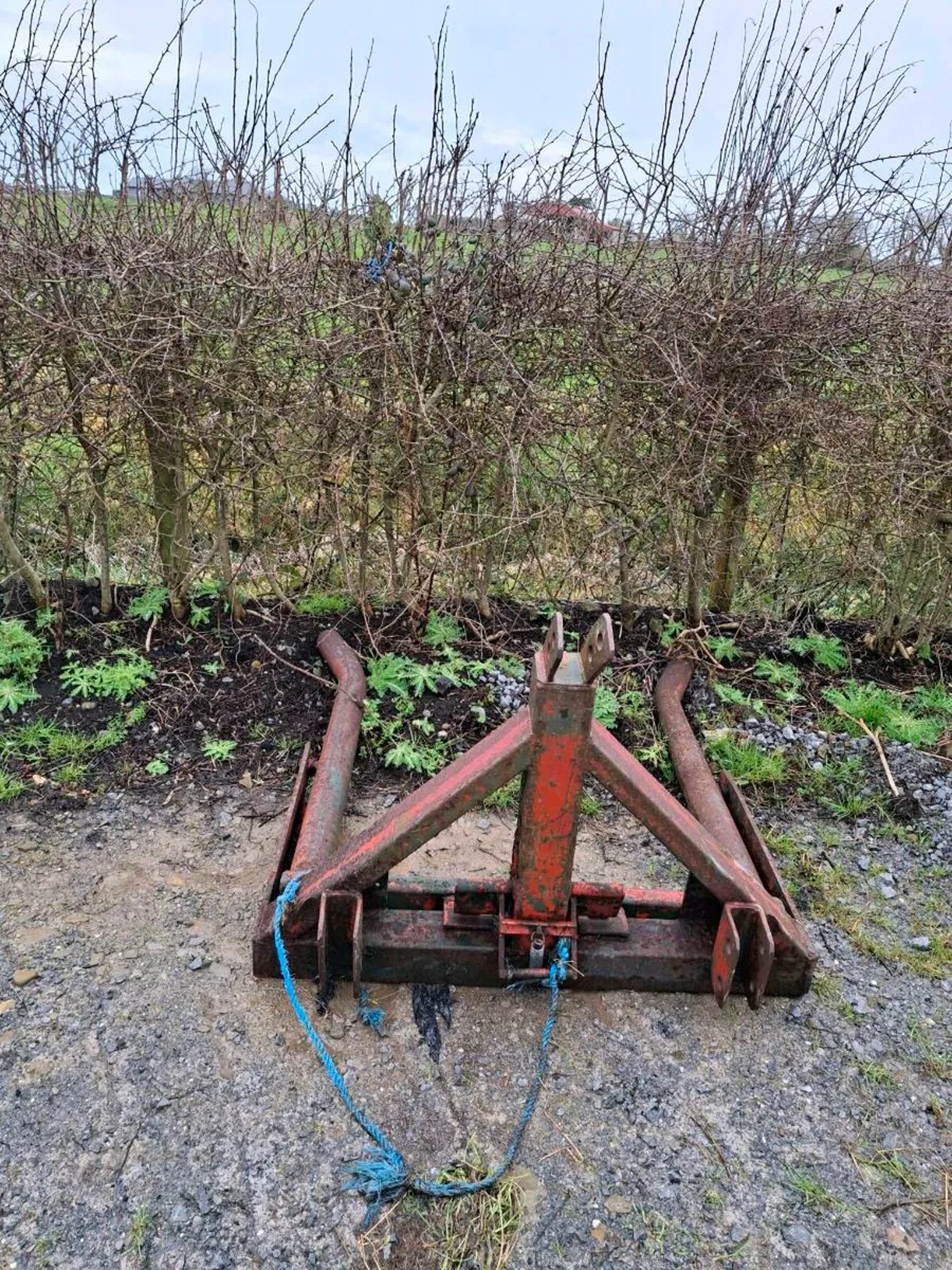 Bale carrier - Image 1