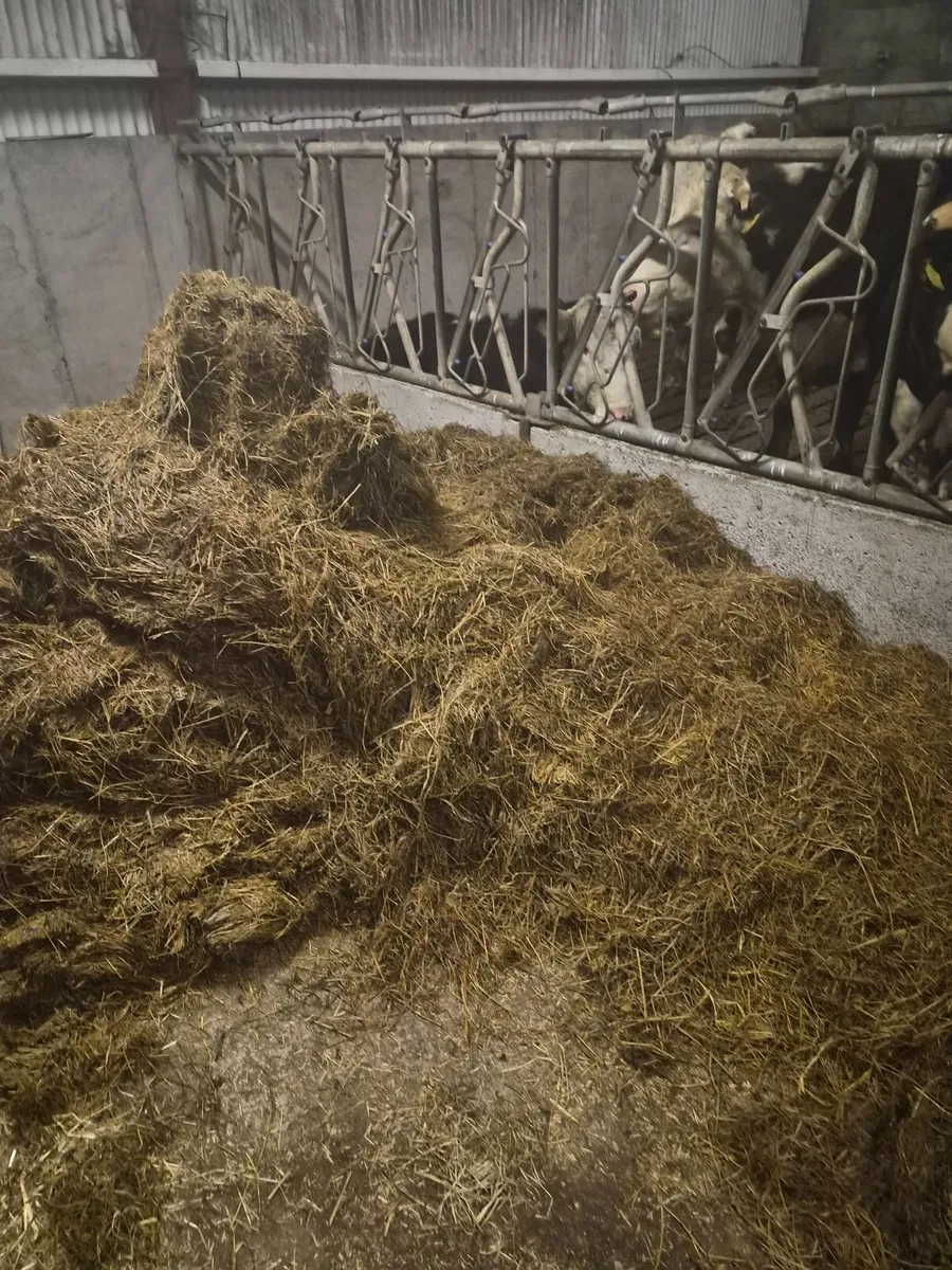 Silage bales for Sale - Image 1