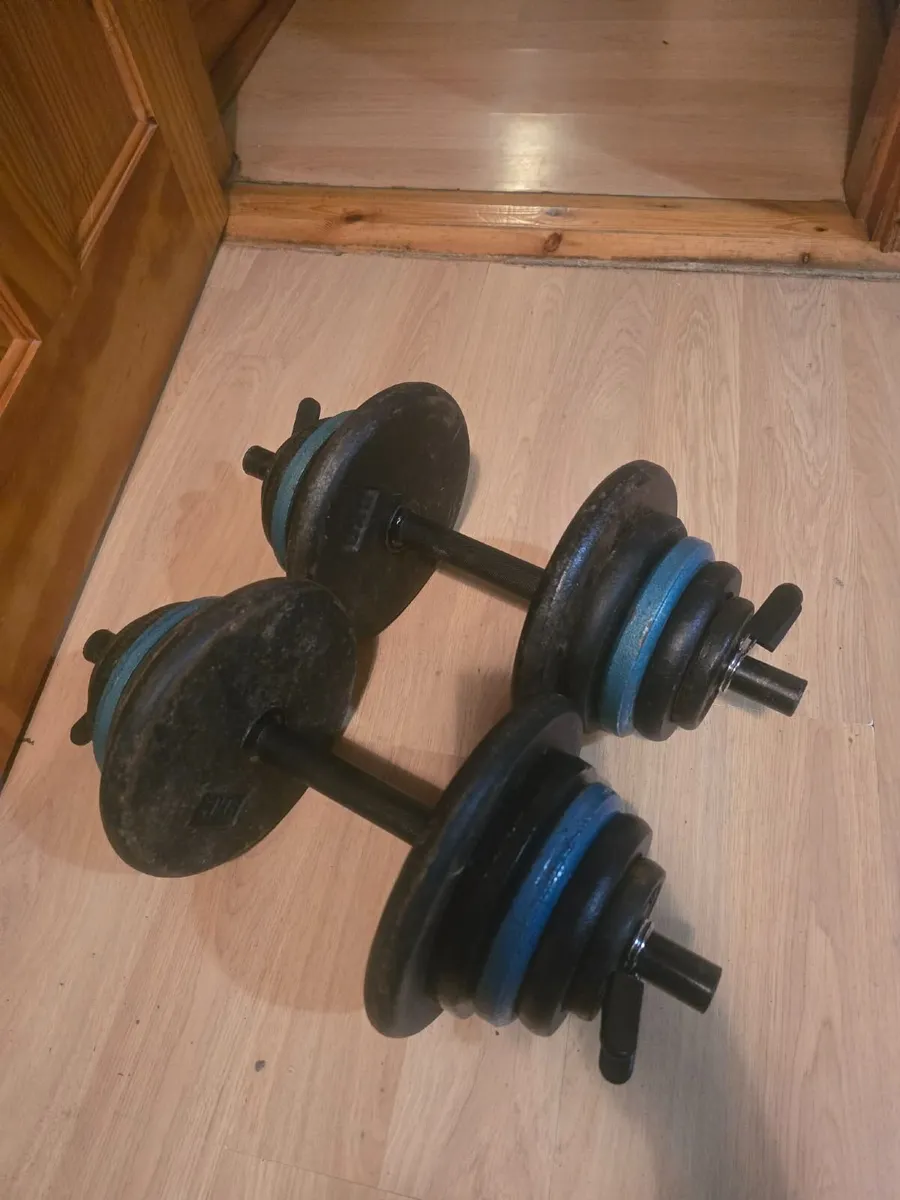 Dumbbells 2×22kg