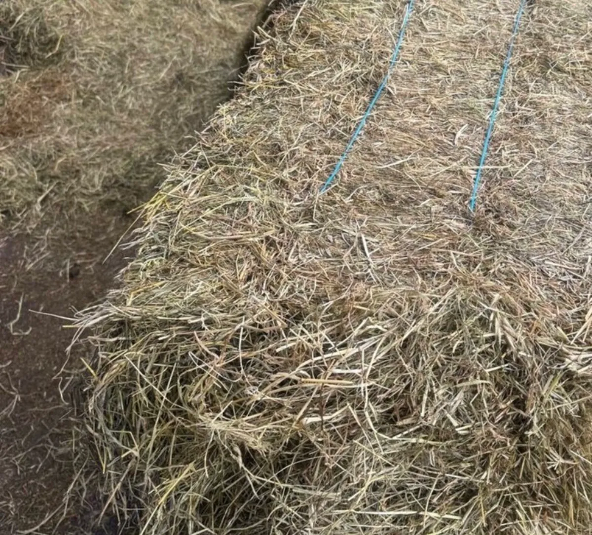 Hay for sale. €4 ea