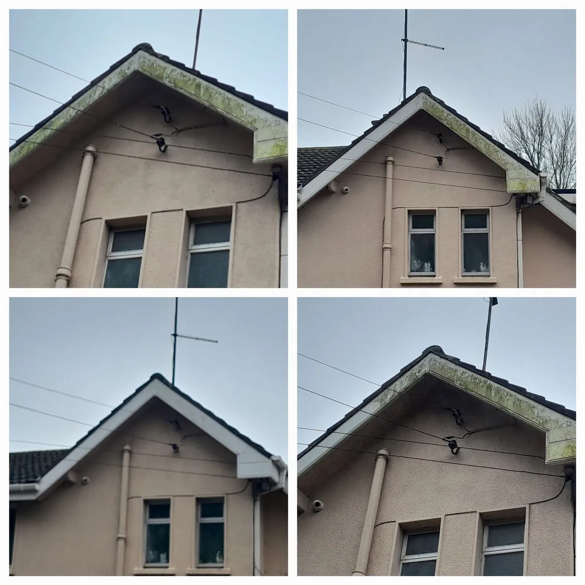 All class steam cleaning exterior power washing - Image 2