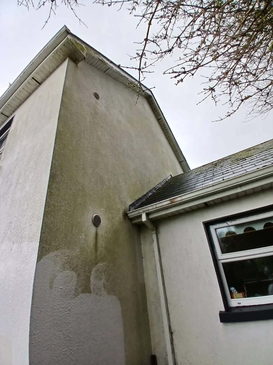 All class steam cleaning exterior power washing - Image 4