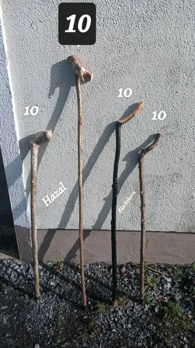 Walking sticks - Image 3