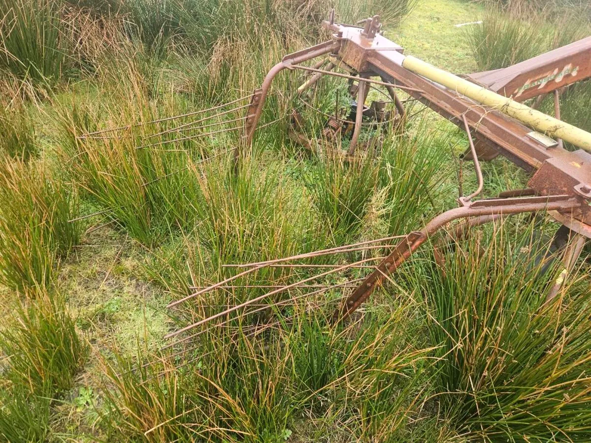 Fransgard rv300 haybob - Image 3