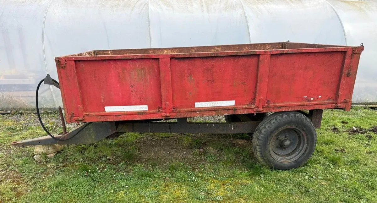 10 x 6 Steel Tipper Trailer - Image 2