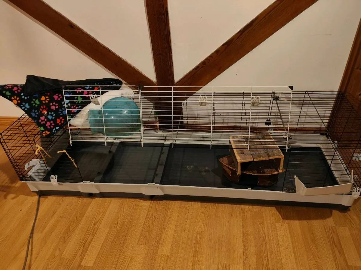 Large guinea pig cage