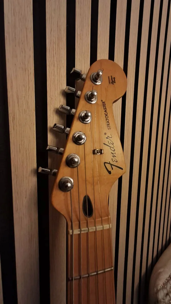 Fender Stratocaster 2009 MIM 'Player Series' - Image 2