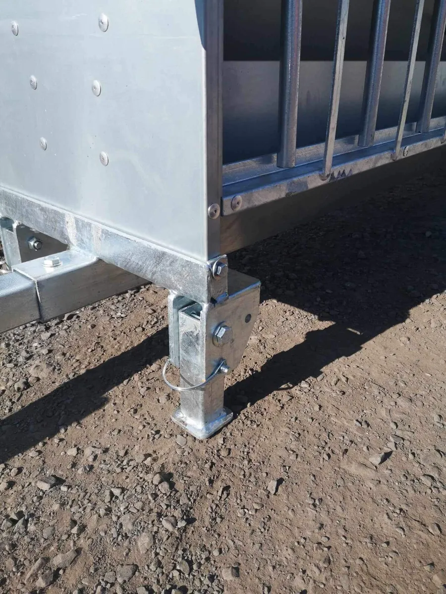 Sheep  lamb creep feeder - Image 3