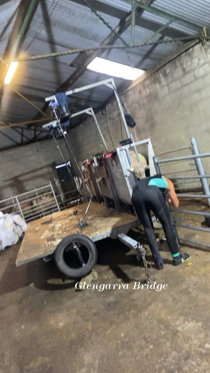 Shearing trailer - Image 1
