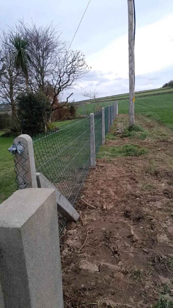 Landscaping and gardening services - Image 1