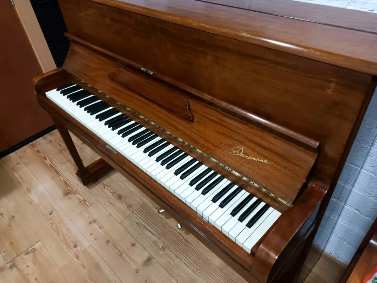 Danemann | Walnut Cabinet | Rich Tone - Image 2