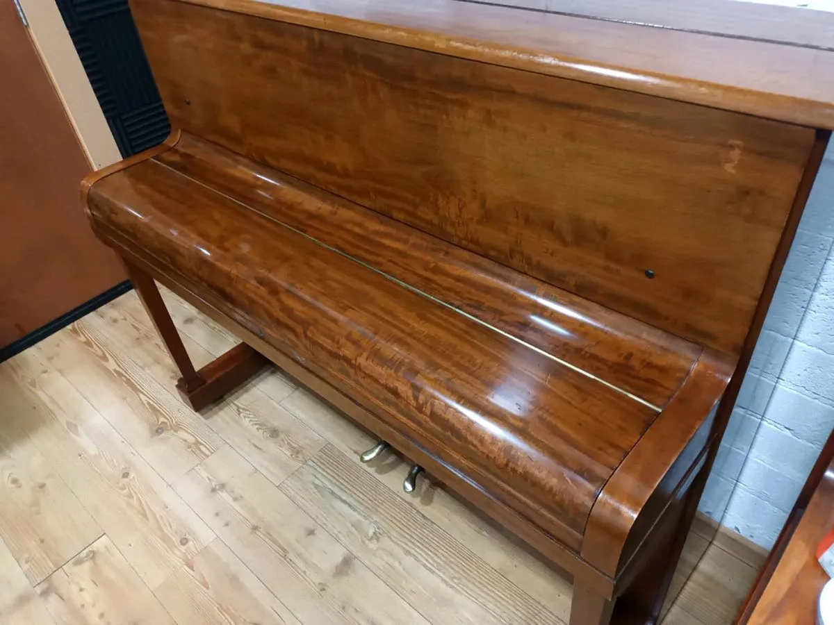 Danemann | Walnut Cabinet | Rich Tone - Image 4