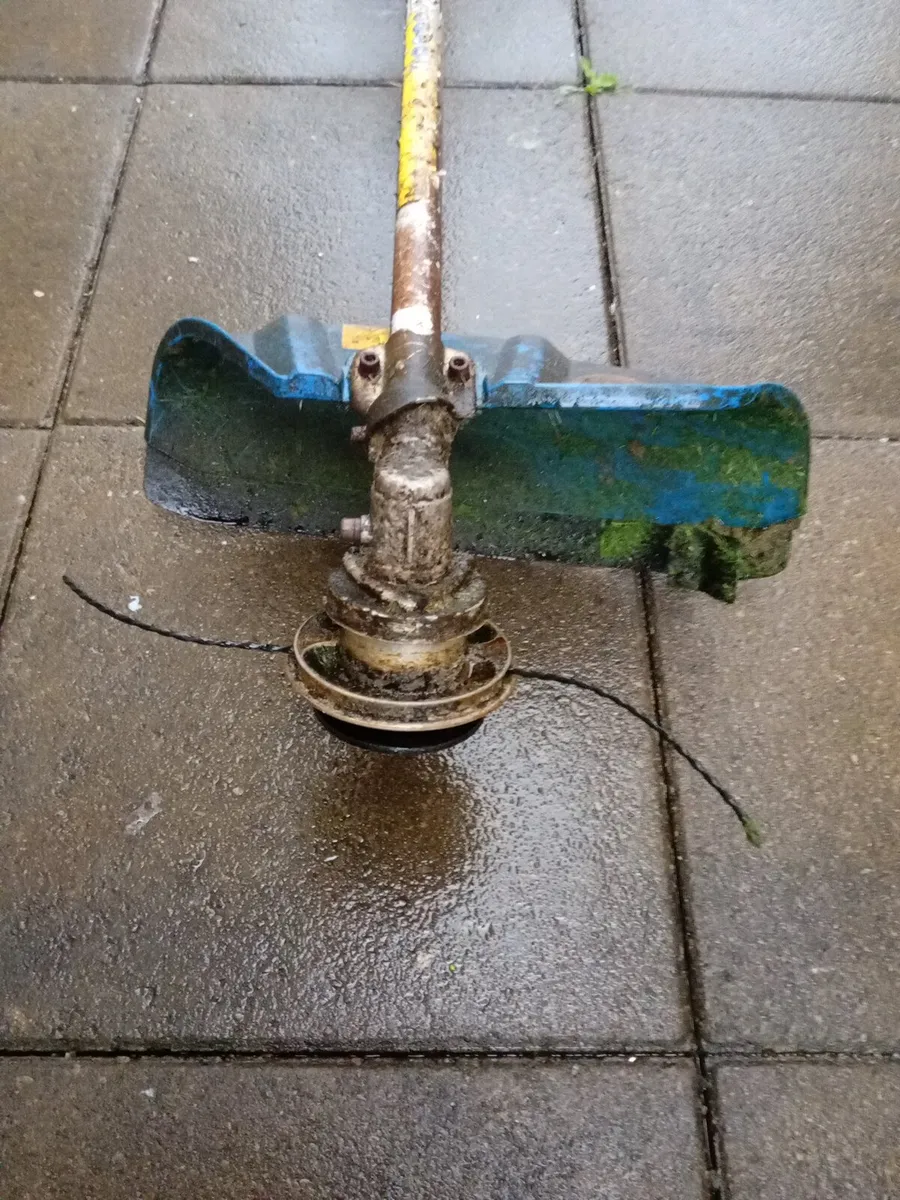 Hyundai strimmer - Image 3