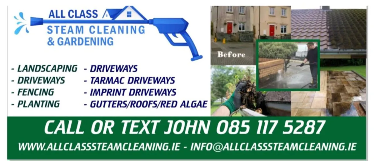 All class steam cleaning - Image 1